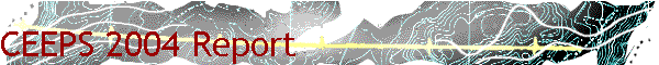 CEEPS 2004 Report