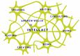 Intellact web